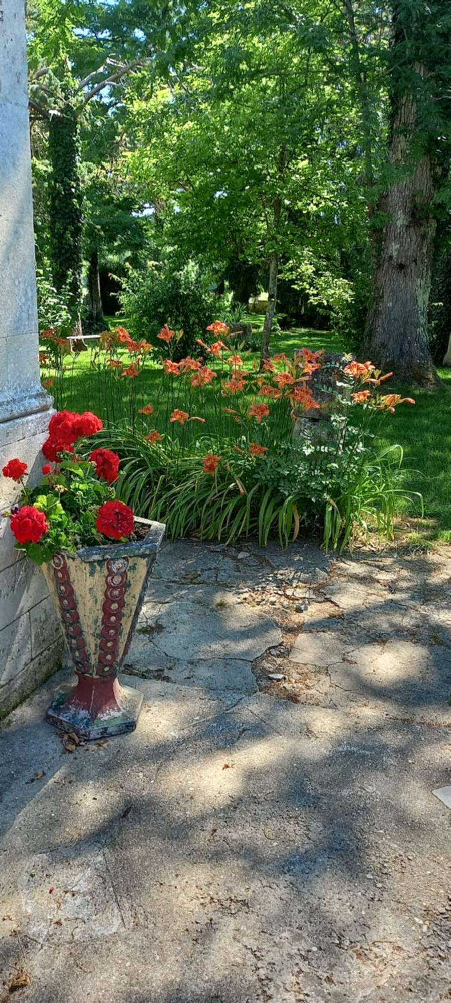 Les Demeures De La Laigne Bed and Breakfast Allas-Bocage Eksteriør billede